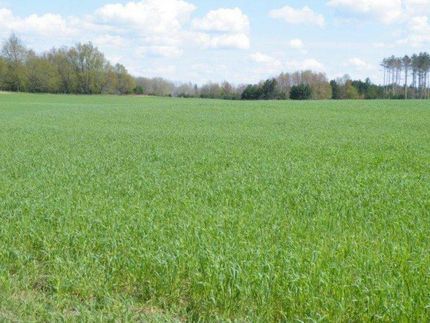 Farm and Ranch in Mason County, Michigan