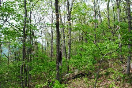 Homesite in Dade County, Georgia