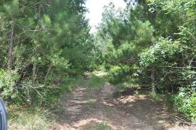 Farm and Ranch in Fayette County, Texas