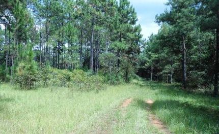 Commercial Property in Clay County, Georgia