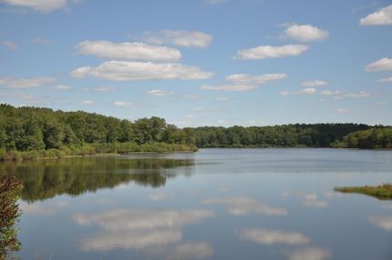 Farm and Ranch in Hardeman County, Tennessee