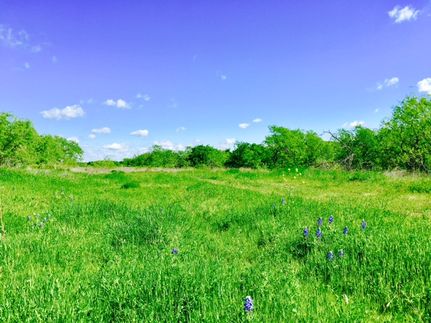 Farm and Ranch in Navarro County, Texas