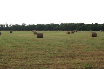 Farm and Ranch in Wharton County, Texas