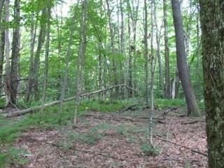 Land in Oneida County, New York