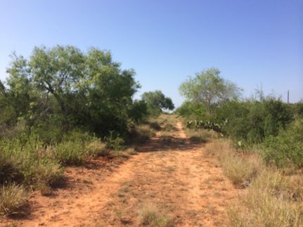 Land in Duval County, Texas