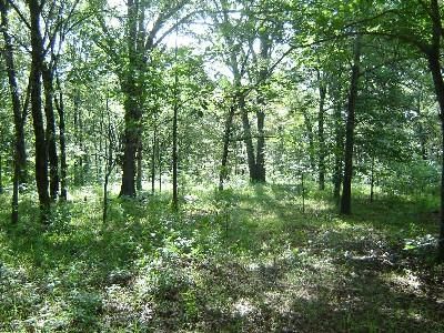 Farm and Ranch in Choctaw County, Oklahoma