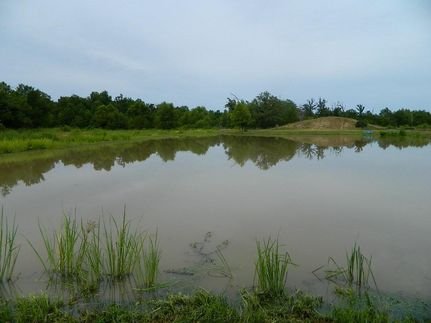 Farm and Ranch in Titus County, Texas