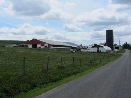 Undeveloped Land in Somerset County, Pennsylvania