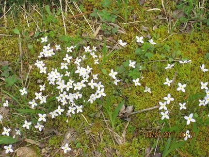 Farm and Ranch in Granville County, North Carolina