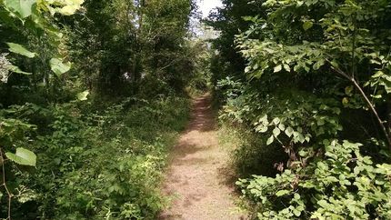 Land in Jackson County, Ohio