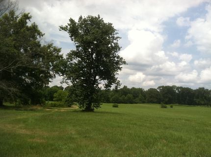 Farm and Ranch in Saint Clair County, Alabama