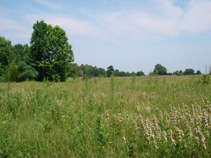 Land in Cherokee County, Texas