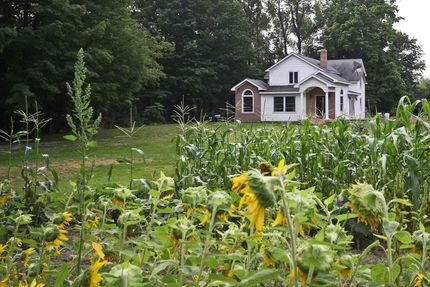 Farm and Ranch in Allegan County, Michigan