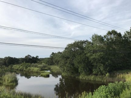 Undeveloped Land in Beaufort County, South Carolina