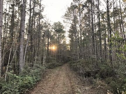 Land in Jasper County, South Carolina