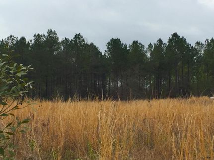 Land in Kershaw County, South Carolina