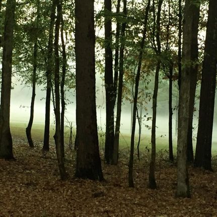 Recreational Property in Marengo County, Alabama