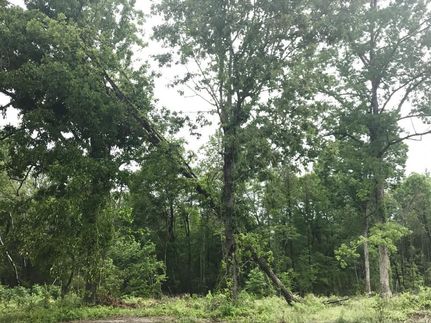 Land in Florence County, South Carolina