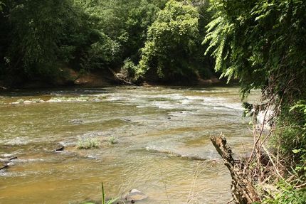 Farm and Ranch in Jefferson County, Alabama