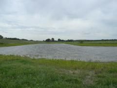 Timberland Property in Callahan County, Texas