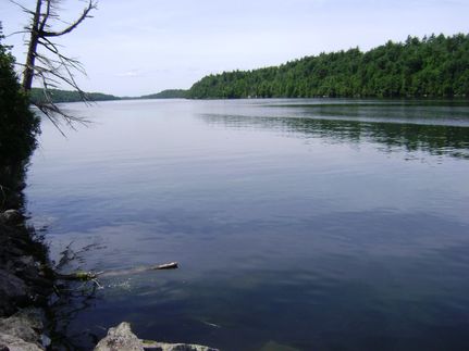 Waterfront Property in Saint Lawrence County, New York