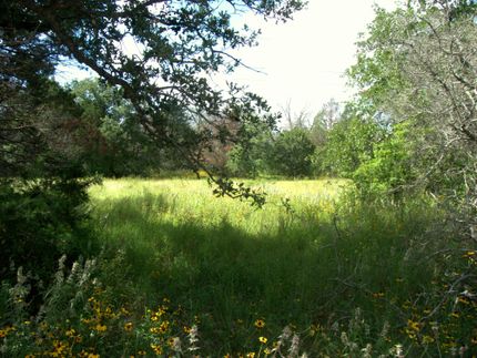 Farm and Ranch in Fayette County, Texas