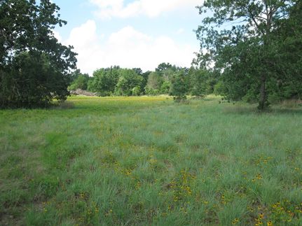 Recreational Property in Milam County, Texas