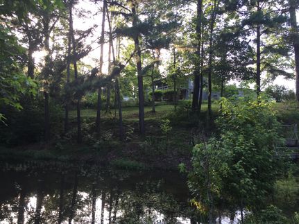 Farm and Ranch in Franklin County, Mississippi