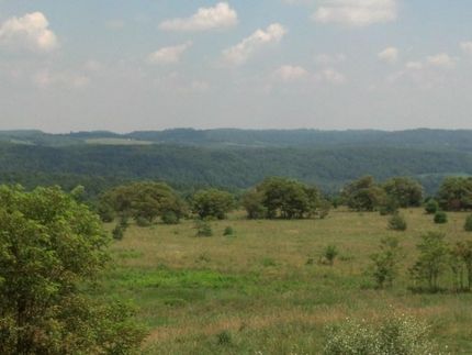 Farm and Ranch in Clearfield County, Pennsylvania