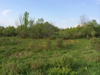 Farm and Ranch in Oswego County, New York