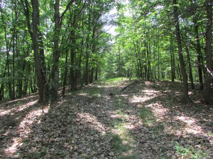 Farm and Ranch in Hampshire County, West Virginia