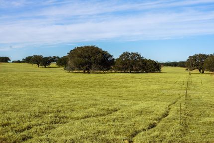 Land in Medina County, Texas