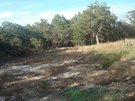 Timberland Property in Bell County, Texas