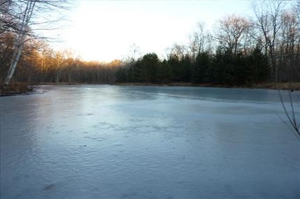 Farm and Ranch in Arenac County, Michigan