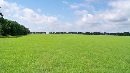 Farm and Ranch in Henderson County, Texas