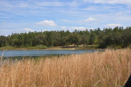 Farm and Ranch in Calhoun County, Florida