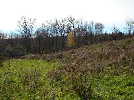 Farm and Ranch in Steuben County, New York
