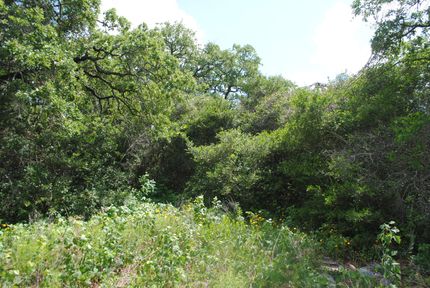 Land in Milam County, Texas