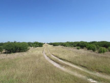 Undeveloped Land in Willacy County, Texas