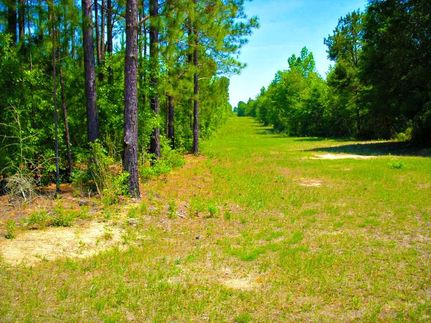 Land in Laurens County, Georgia