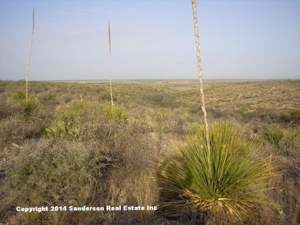 Farm and Ranch in Terrell County, Texas