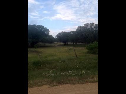 Land in Callahan County, Texas