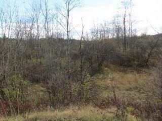Farm and Ranch in Oneida County, New York