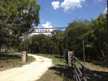 Timberland Property in Montague County, Texas