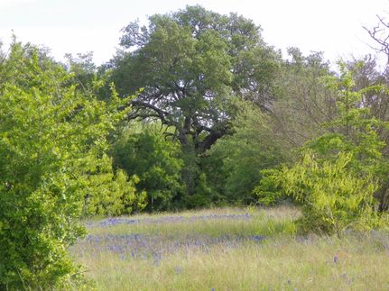 Farm and Ranch in Washington County, Texas