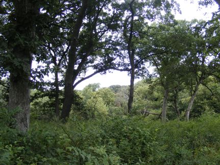 Farm and Ranch in Boone County, Iowa