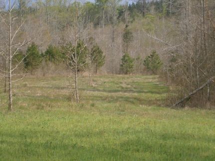 Farm and Ranch in Tippah County, Mississippi