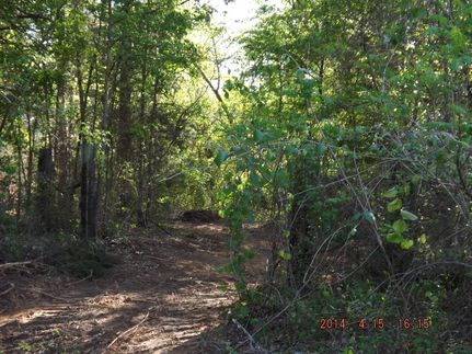 Farm and Ranch in Anderson County, Texas
