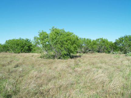Farm and Ranch in Medina County, Texas