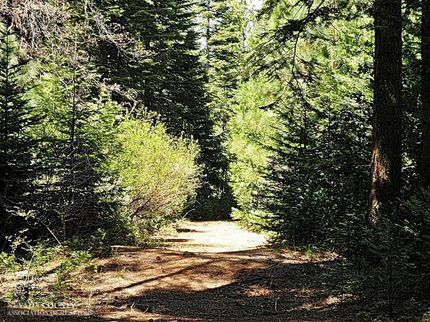 Homesite in Nevada County, California